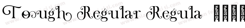 Tough Regular Regula字体转换